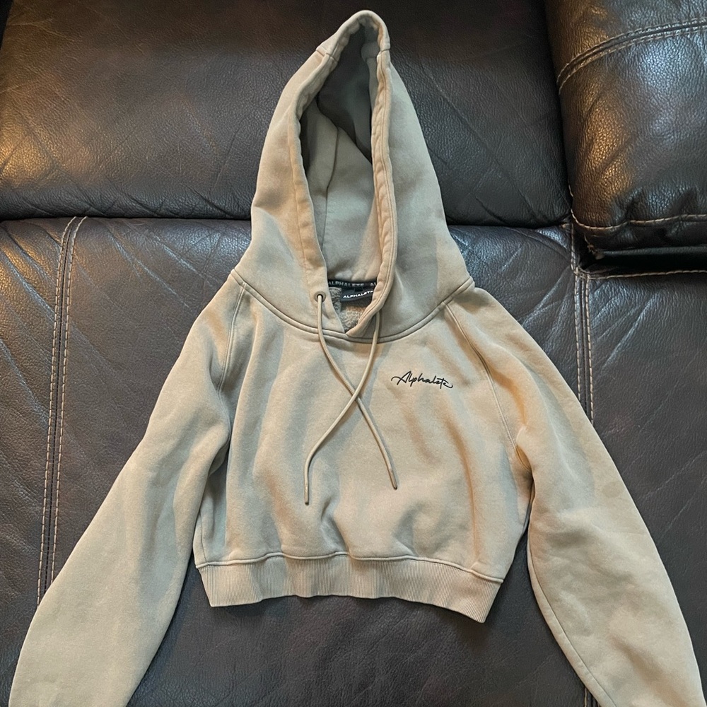Alphalete Cropped Hoodie Size Small